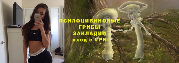 соль курить ск Заводоуковск