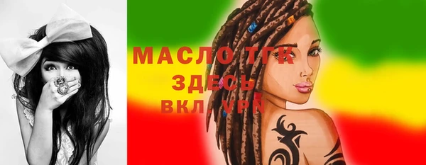 шишки Коряжма