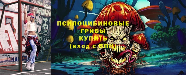 ПСИЛОЦИБИНОВЫЕ ГРИБЫ Пенза