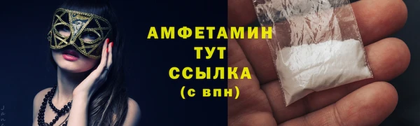 шишки Коряжма